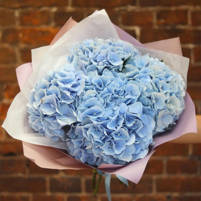 Букет цветов "Голубые гортензии "
